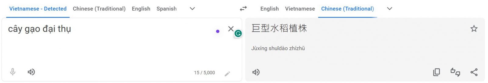機械翻訳を使っていない方がいい
